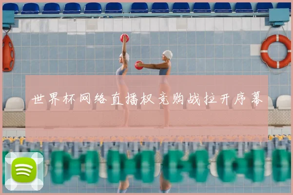 世界杯网络直播权竞购战拉开序幕
