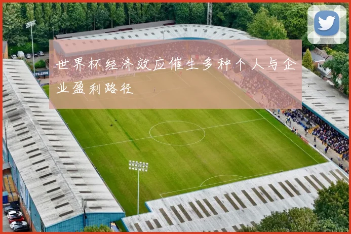 世界杯经济效应催生多种个人与企业盈利路径