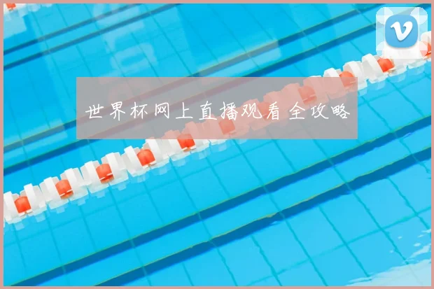世界杯网上直播观看全攻略
