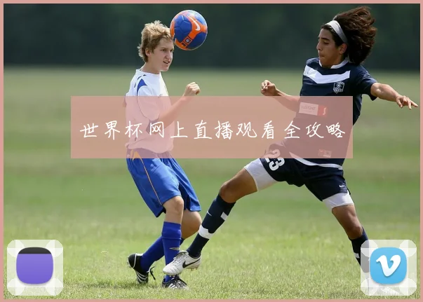 世界杯网上直播观看全攻略