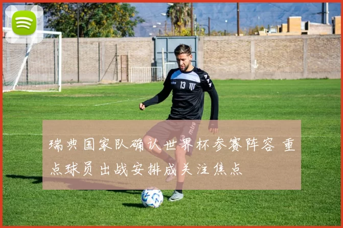 瑞典国家队确认世界杯参赛阵容 重点球员出战安排成关注焦点
