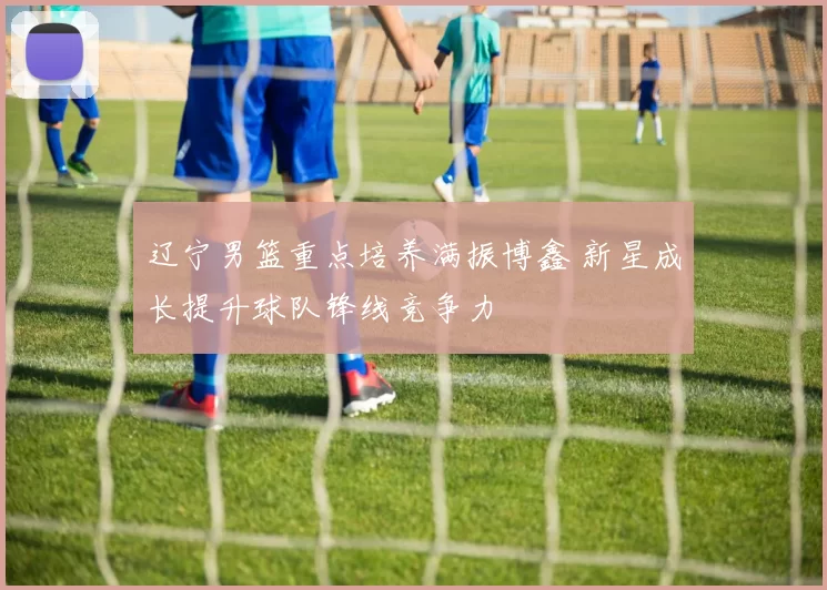 辽宁男篮重点培养满振博鑫 新星成长提升球队锋线竞争力